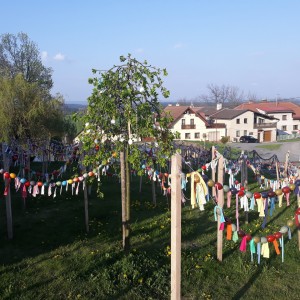 Současná obec - Fotografie 3