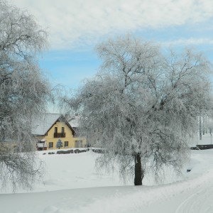 Současná obec - Fotografie 17