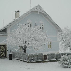Současná obec - Fotografie 19