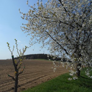 Rozhledna - Fotografie 6